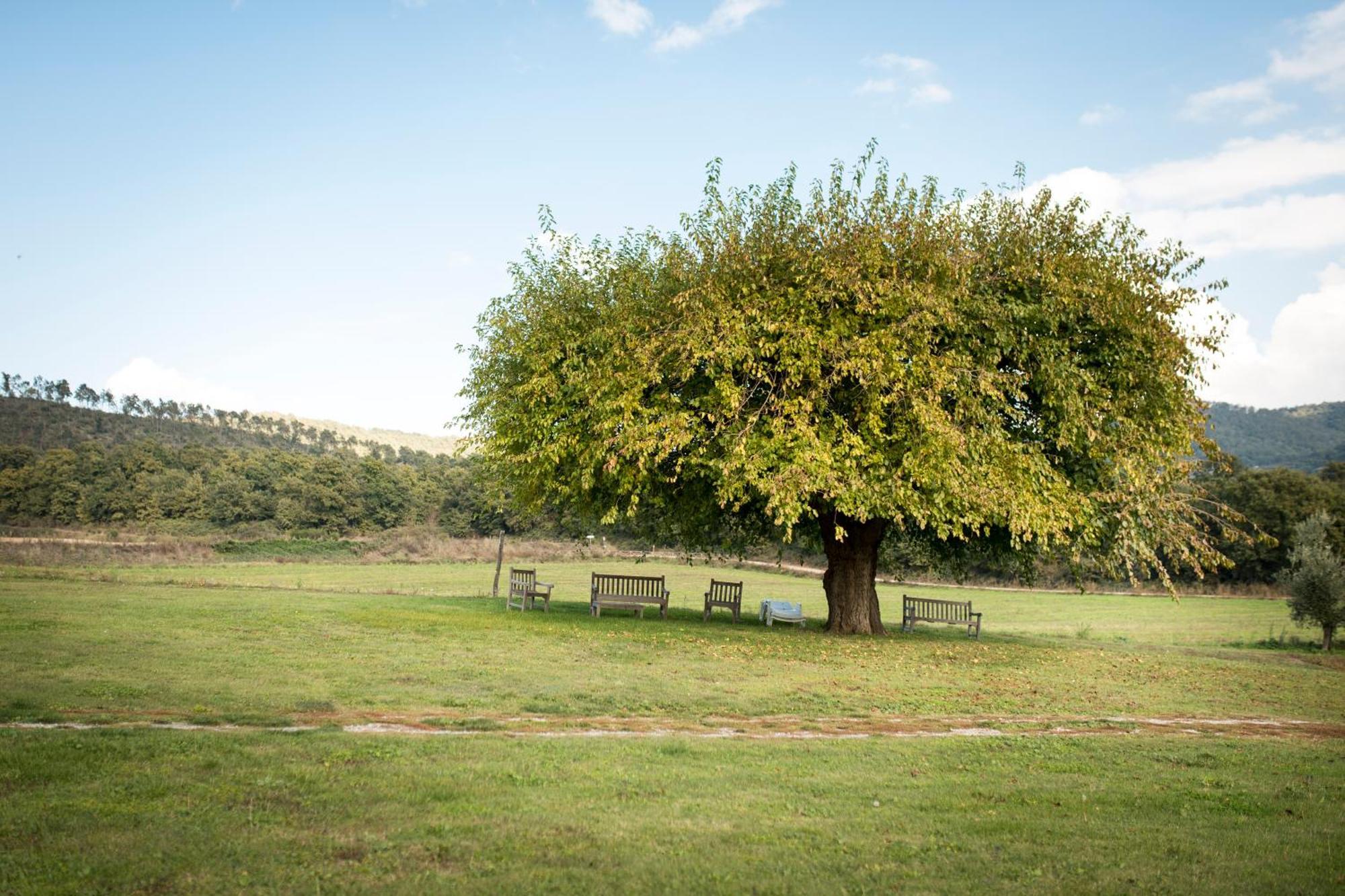 Agri Relais Il Poderaccio Di บอลเซนา ภายนอก รูปภาพ