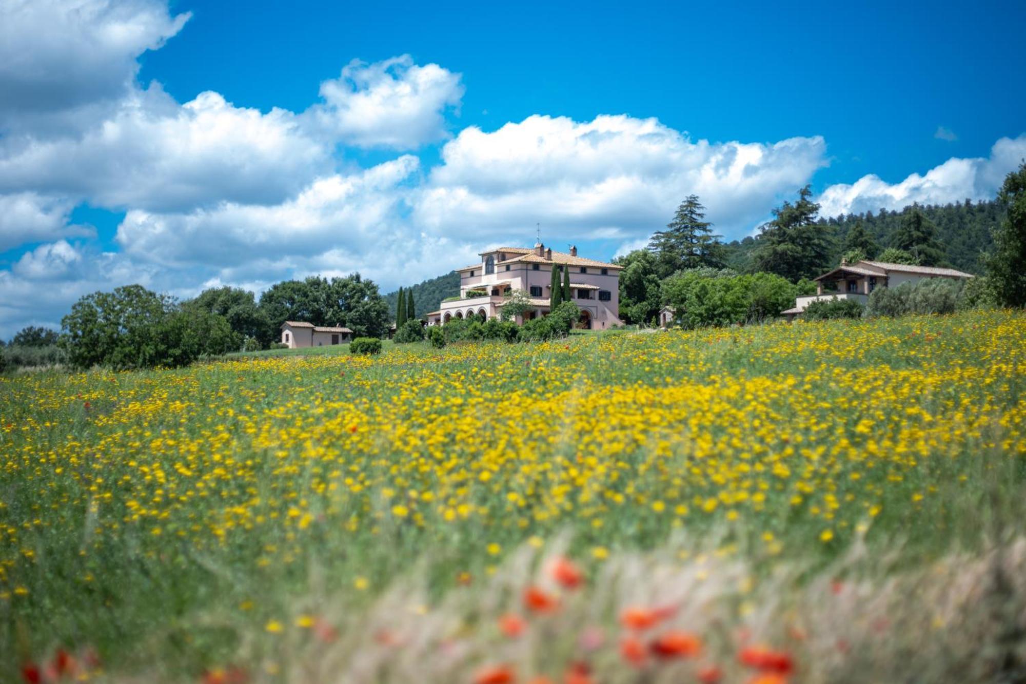 Agri Relais Il Poderaccio Di บอลเซนา ภายนอก รูปภาพ