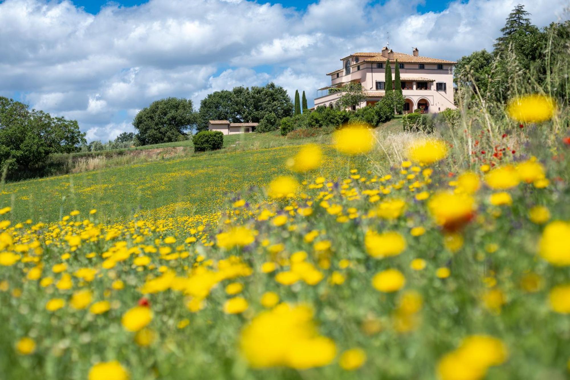 Agri Relais Il Poderaccio Di บอลเซนา ภายนอก รูปภาพ