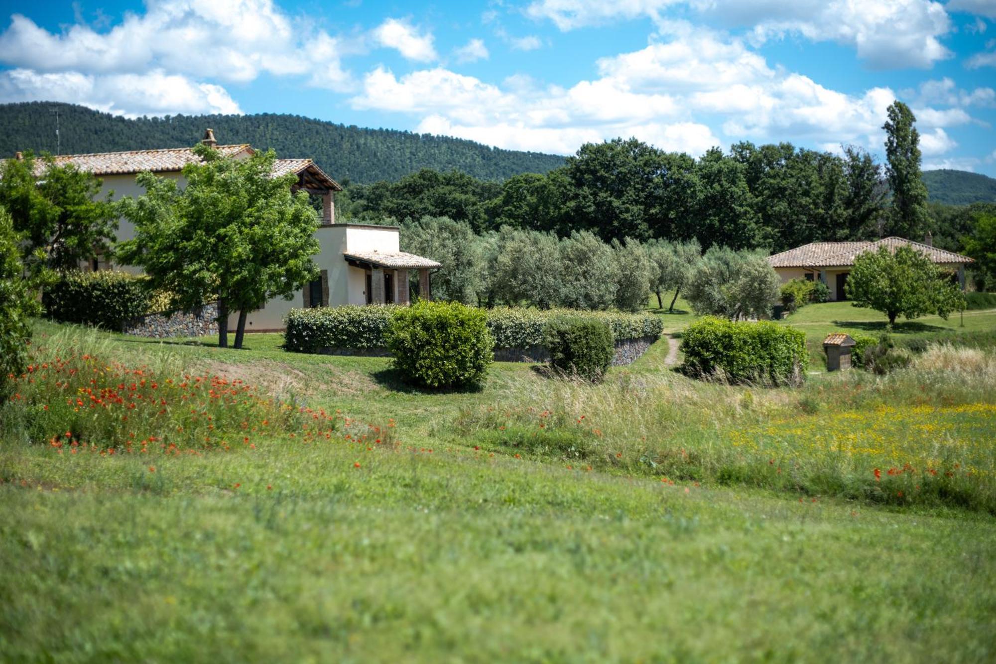 Agri Relais Il Poderaccio Di บอลเซนา ภายนอก รูปภาพ